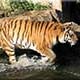 Zoo