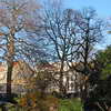 Kruidtuin