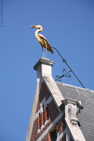 Heron Statue on top of a building in Zurenborg