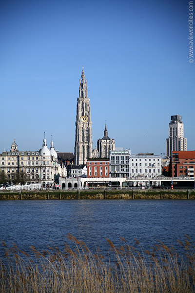 Cathedral seen from left bank