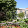 Kruidtuin