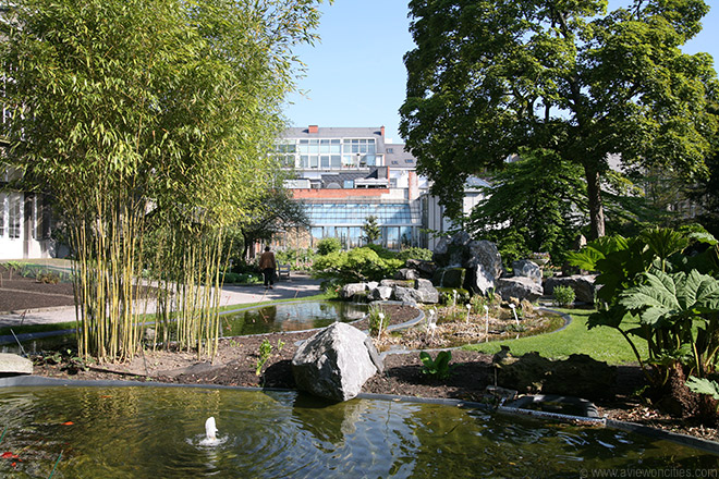 Pond at Kruidtuin