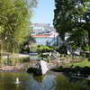 Pond at Kruidtuin