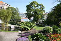 Kruidtuin, Antwerp