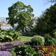 Botanic Garden