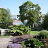 Kruidtuin