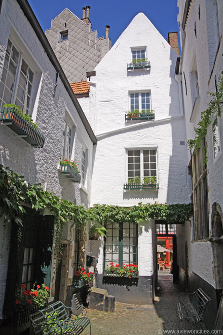مدينتي (antwerpen) الجزء الاول القلعة kvefl2230s.jpg