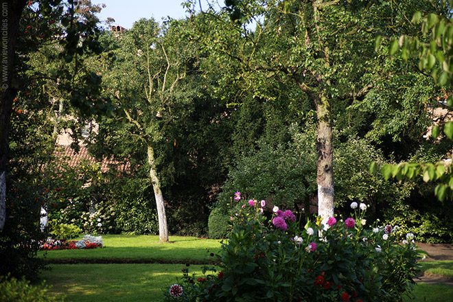 Central garden in the Beguinage