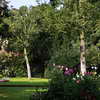 Central garden in the Beguinage