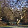 Stadpark