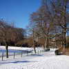 Stadpark under snow