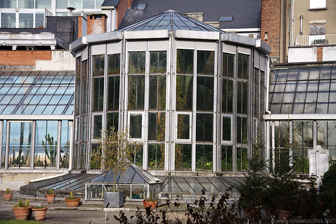 Greenhouse at the Kruidtuin