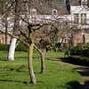 Garden at the Beguinage