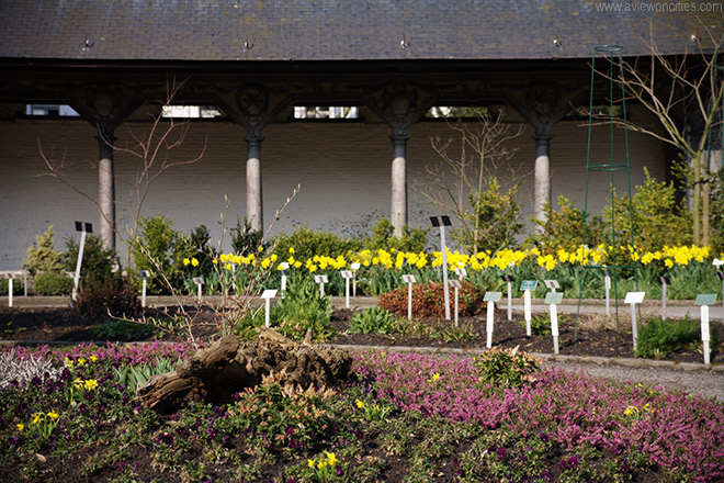 Kruidtuin
