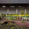 Kruidtuin