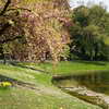 Stadspark in bloom
