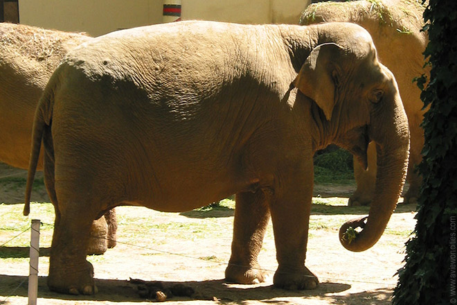 Zoo