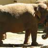 Zoo