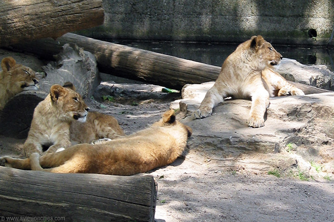 Zoo