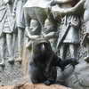 Zoo