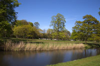 Nature at the Schoonselhof Cemetery