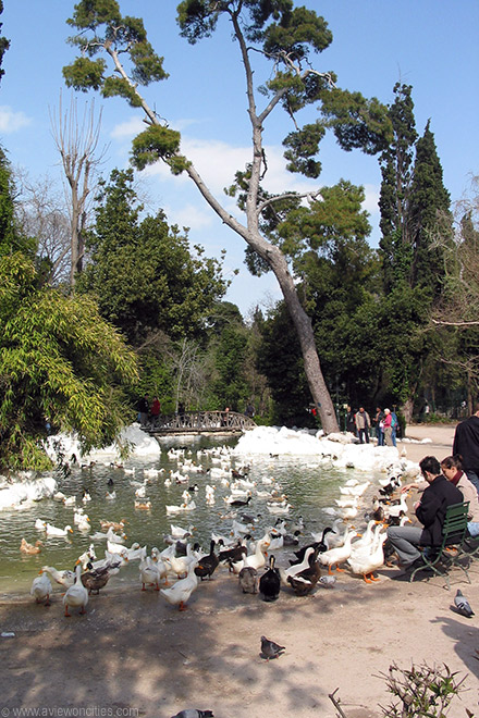Pond at the National Park