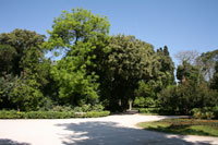 Het Nationaal Park van Athene