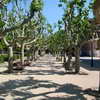 Parc de la Ciutadella