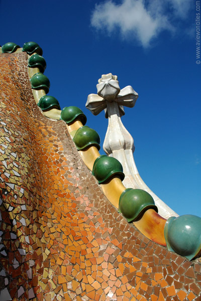 Detail of Casa Batll�'s roof