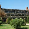 Umbracle