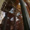 The nave under construction
