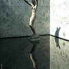 Gorg Kolbe statue