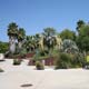 Botanical Garden, Barcelona