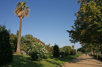 Promenade im Parc de la Ciutadella