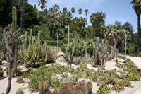 Montjuic Garden