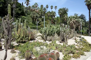 Jardins de Mossèn Costa i Llobera, Montjuic, Barcelona