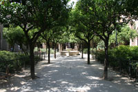 Garten am alten Krankenhaus von Santa Creu