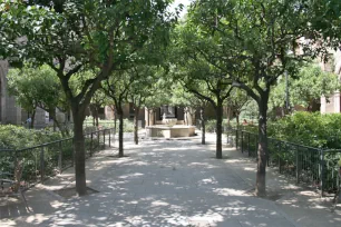 Garden at the Old Hospital of Santa Creu, Barcelona