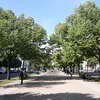 Unter den Linden