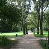 Tiergarten