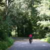 Tiergarten