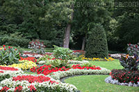 Parterre de fleurs, l'ïle de Louise, Tiergarten, Berlin