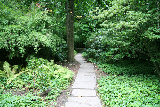 Tiergarten