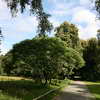 Tiergarten