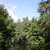 Tiergarten