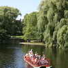 Swan Boat, Public Garden