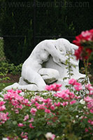 Rose Garden, Back Bay Fens, Boston