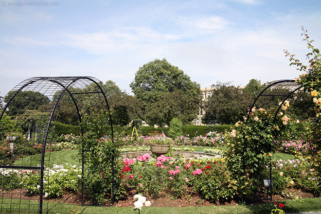 Kelleher Rose Garden, Back Bay Fens