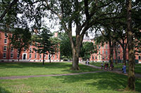 Harvard Yard, Harvard University, Cambridge