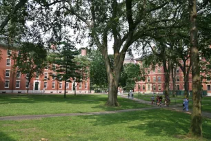 Harvard Yard, Harvard University, Cambridge